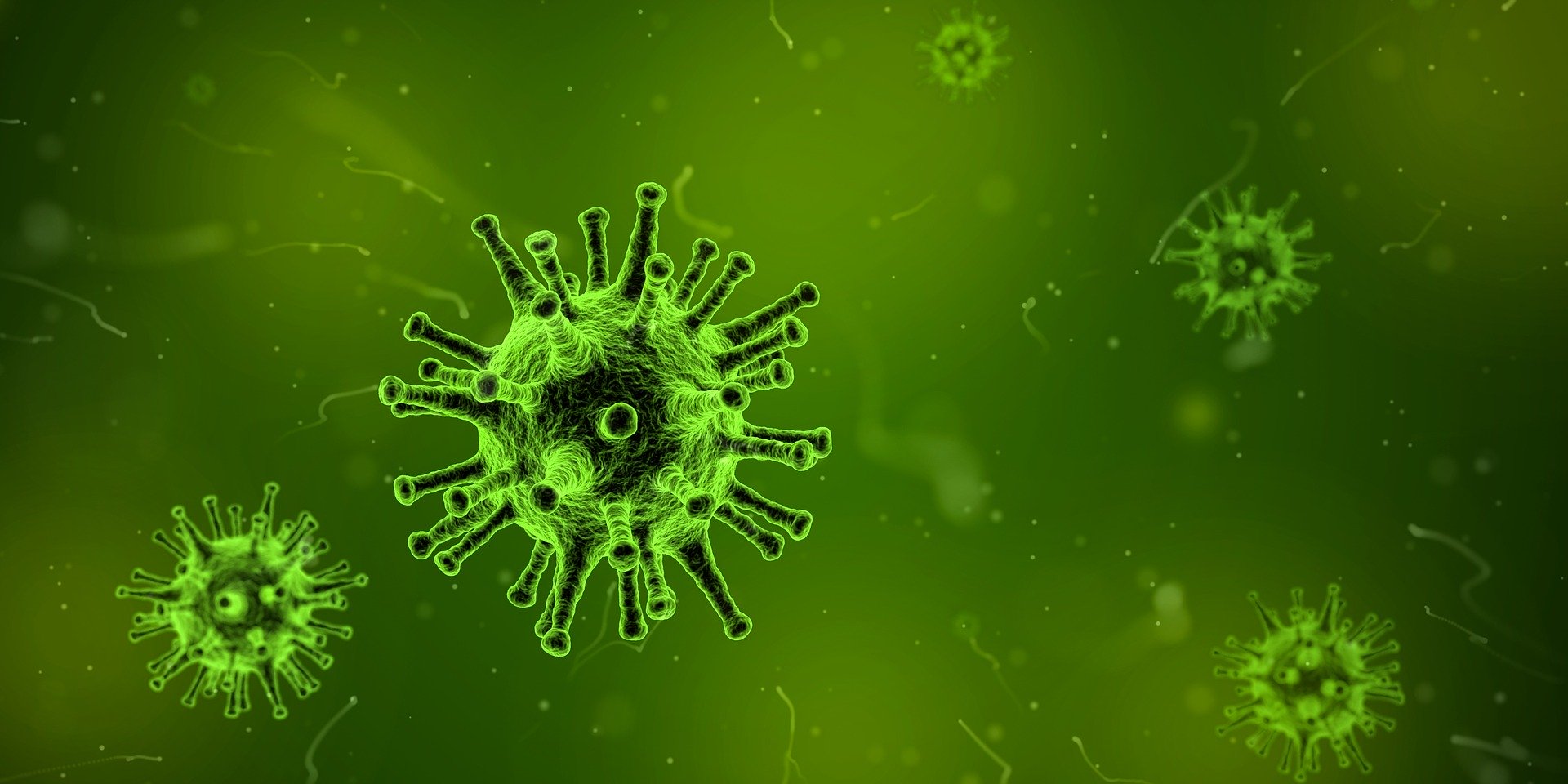 Ubezpieczenie czarteru w czasie epidemii koronawirusa.